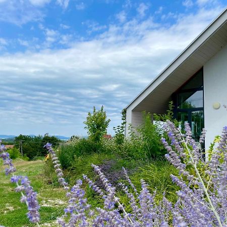 Wine & Space Lodge At Lake Balaton Balatonlelle Exteriör bild